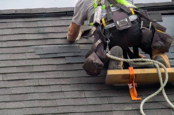 Best Metal Roofing Contractor  in Hampden Sydney, VA