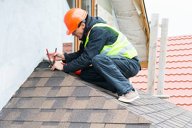 Best Roof Gutter Cleaning  in Hampden Sydney, VA