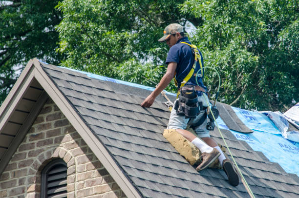 Best Roof Repair Services  in Hampden Sydney, VA