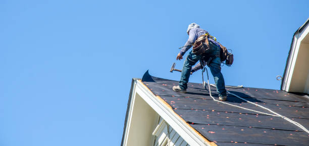 Best Roof Maintenance Services  in Hampden Sydney, VA